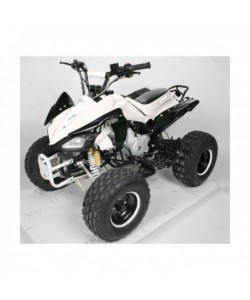 Carénage Blanc et noir pour les quads Carbone 110 / 125 cc